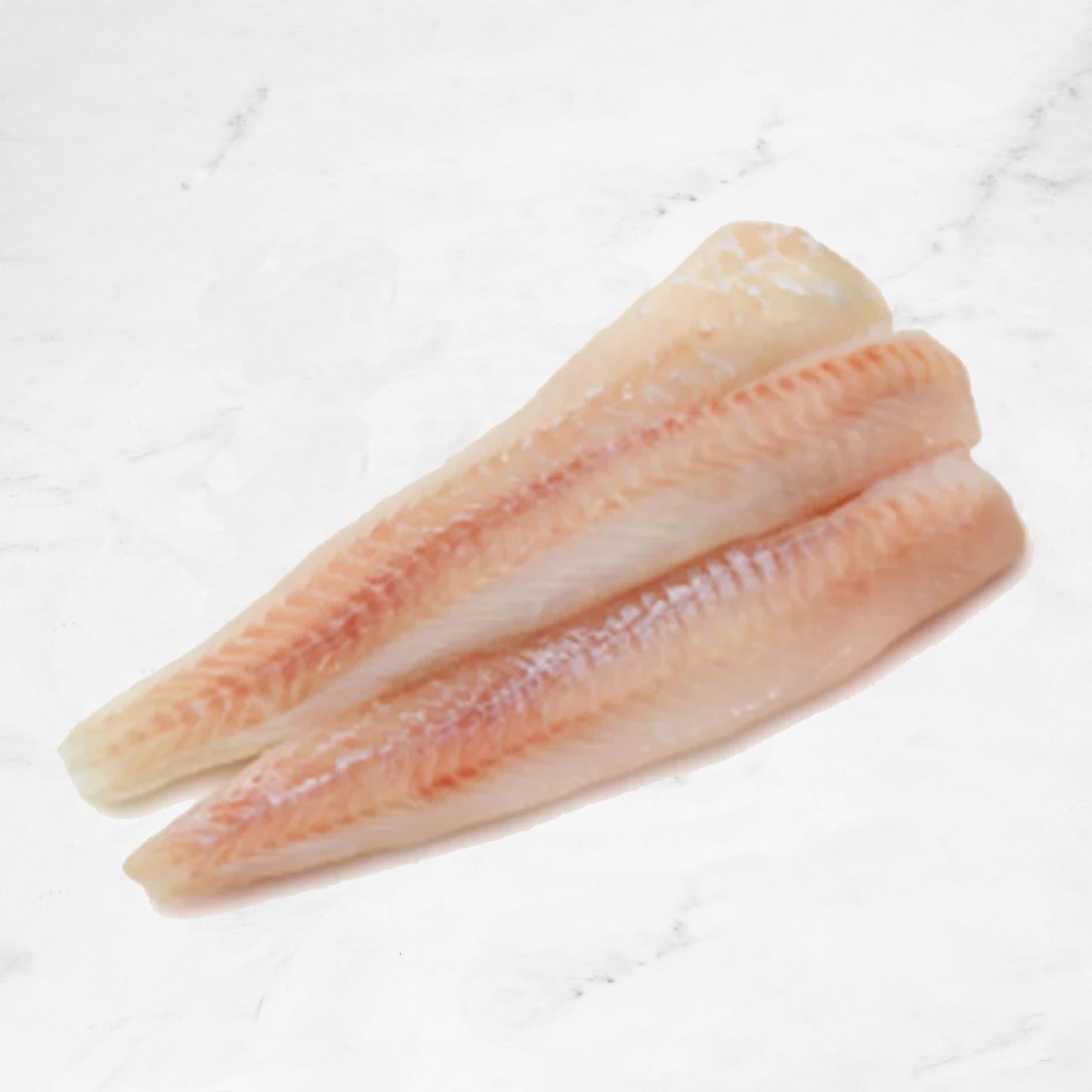Congrio Congelado | 0,6 Kg