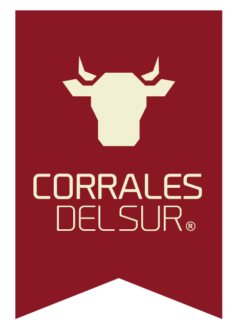 www.corralesdelsur.cl