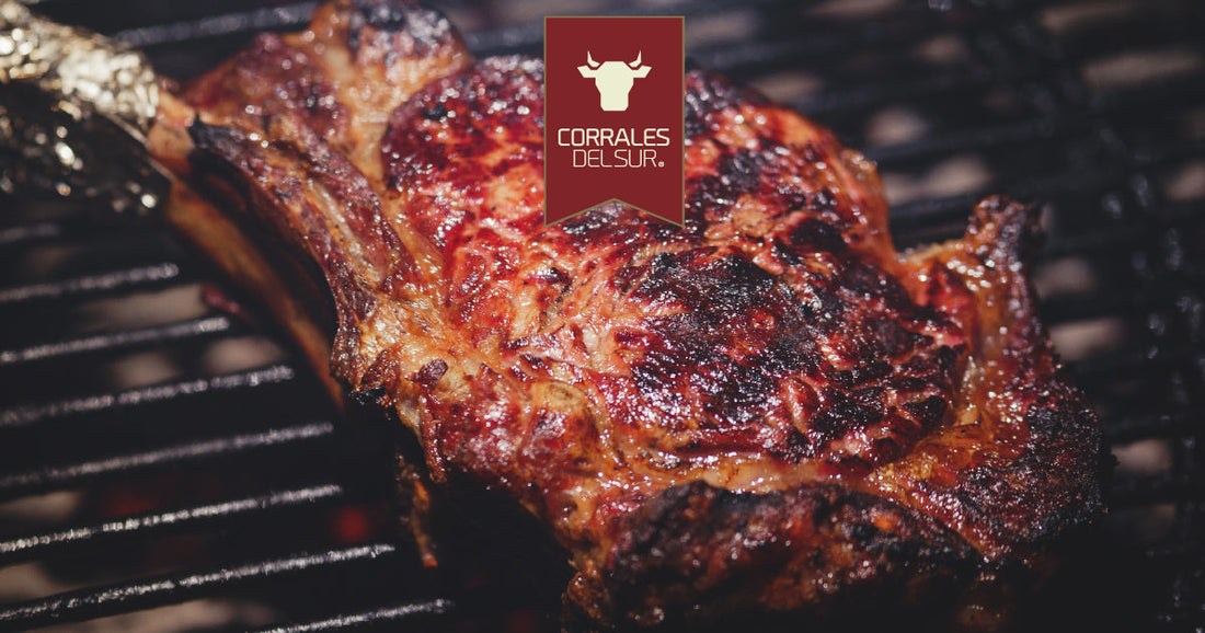 Carne Angus en Chile: Cómo Elegir los Mejores Cortes para Parrilla