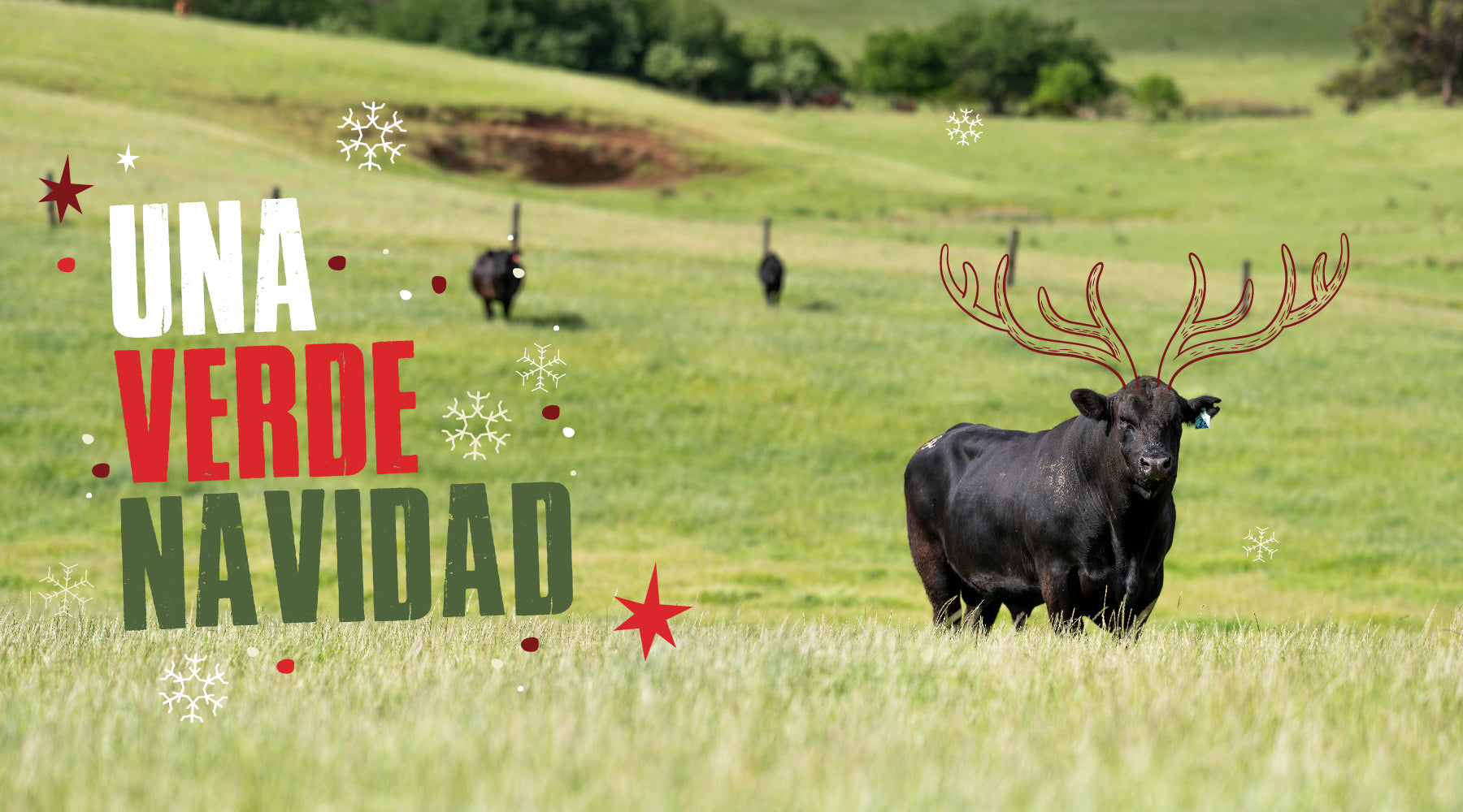 custom-slideshow-image-desktop-block_GUqRAX