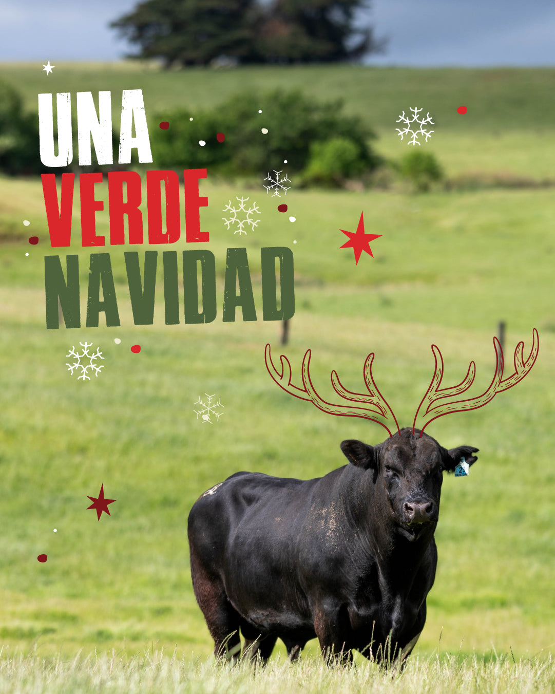 custom-slideshow-image-mobile-block_GUqRAX