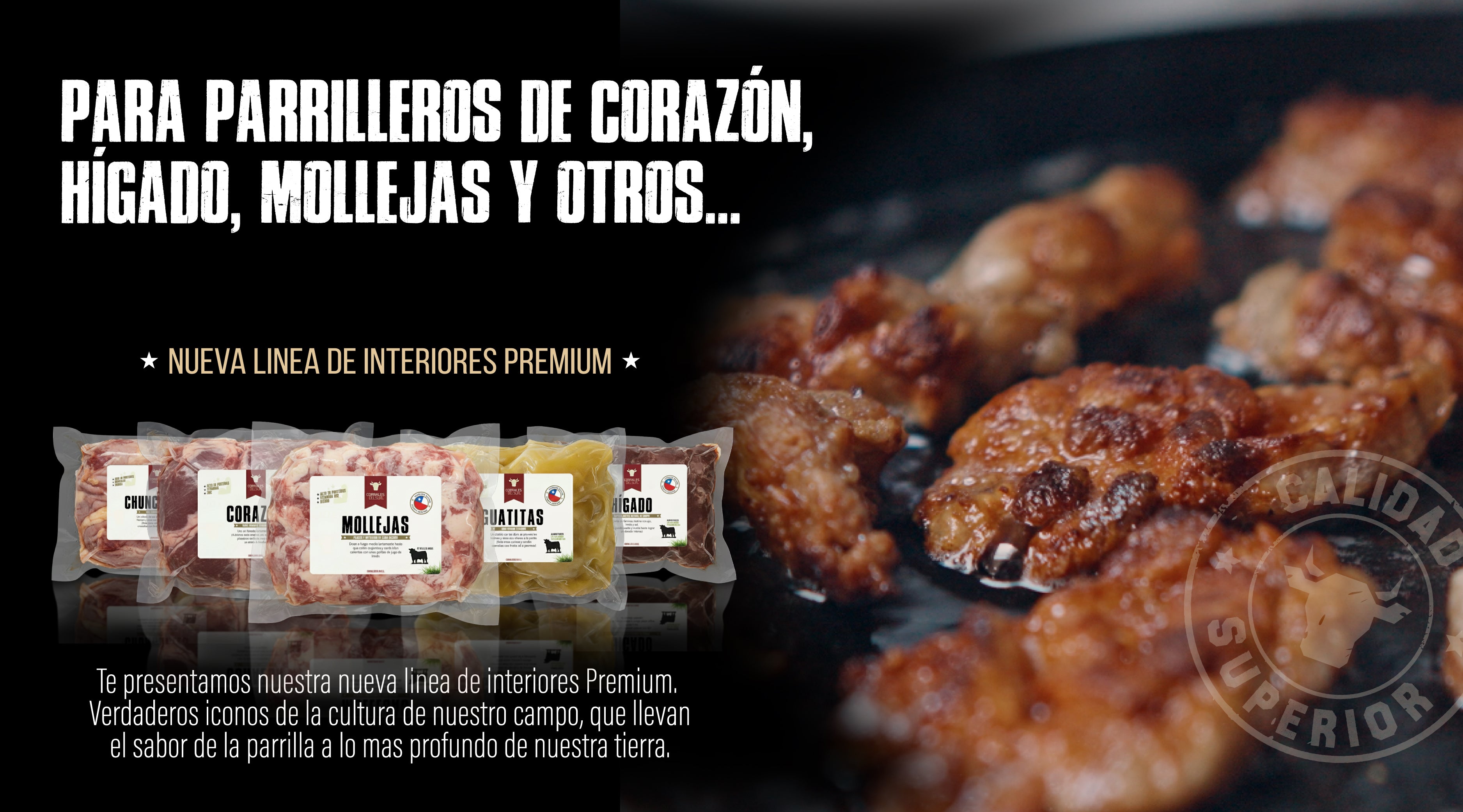 custom-slideshow-image-desktop-block_D899it