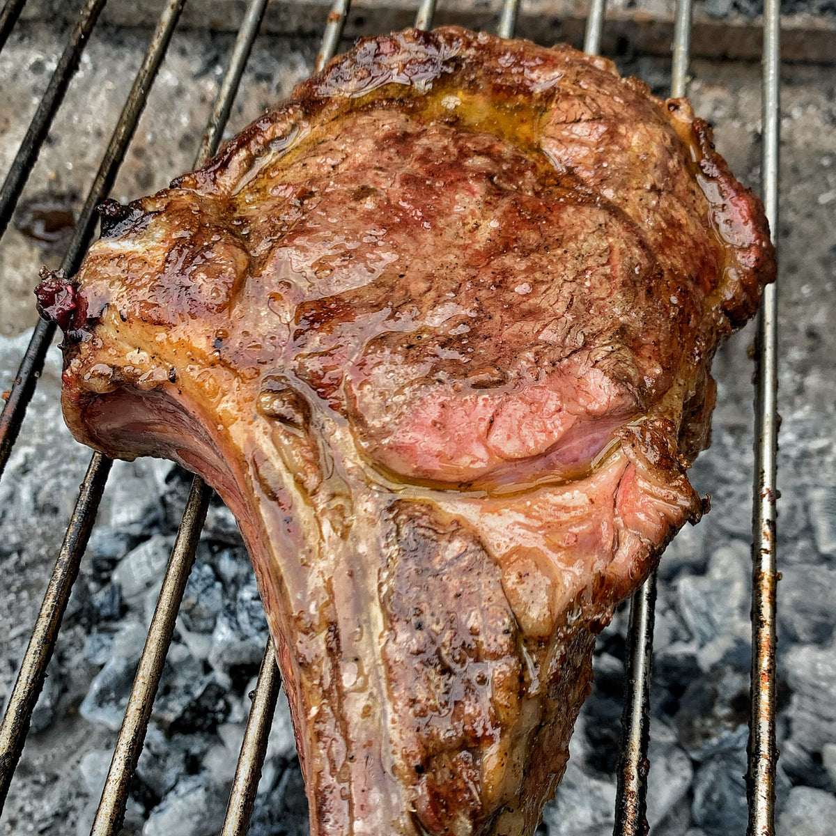 Tomahawk | Hueso Corto | Premium | 1,5 Kg
